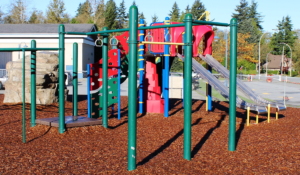 Chantrell Creek Playground