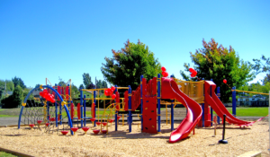 Woodward Elementary PlayBooster Structure