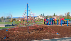 Adams Road Playground with Lunar Blast