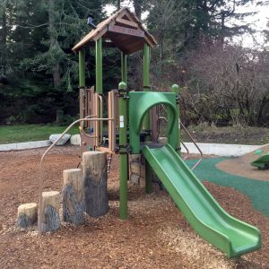 Emily Carr play structure