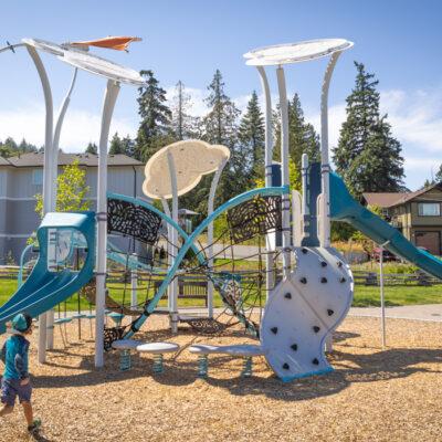 silver & blue playground with engineered wood fibre (EWF) surfacing