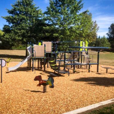 white, black, brown and green playground on engineered wood fibre (EWF) surfacing