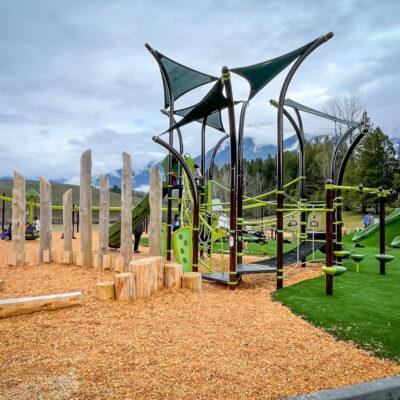 green & brown playground with natural play playgrounds (hybrid project) on engineered wood fibre (EWF) and artificial grass surfacing